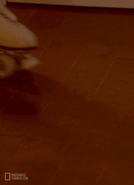 Порно гифка