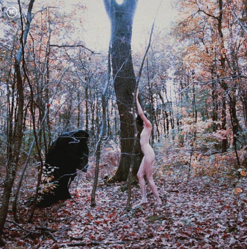 Порно гифка