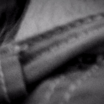 Порно гифка