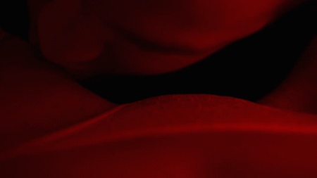 Порно гифка