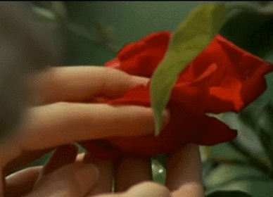 Порно гифка