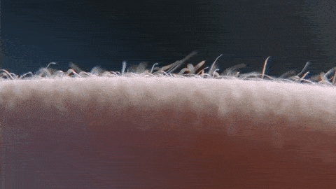 Порно гифка