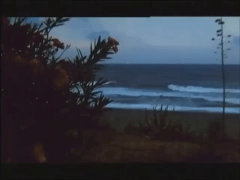 Порно гифка